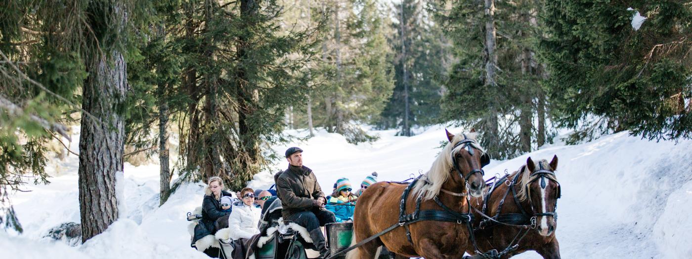 Romantische Pferdeschlittenfahrt am Nassfeld in der Nähe des Almhotel Kärnten