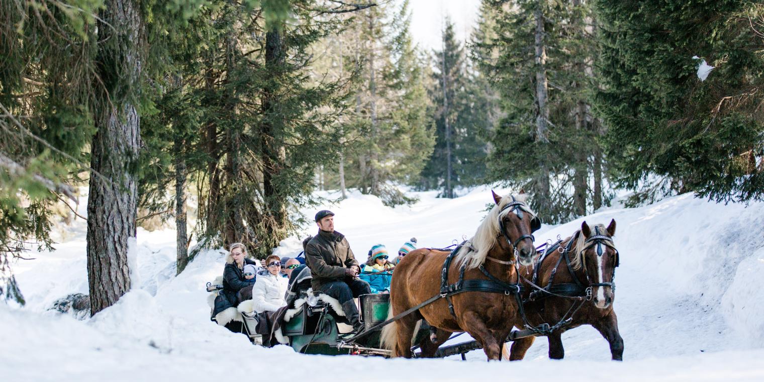 Romantische Pferdeschlittenfahrt am Nassfeld in der Nähe des Almhotel Kärnten