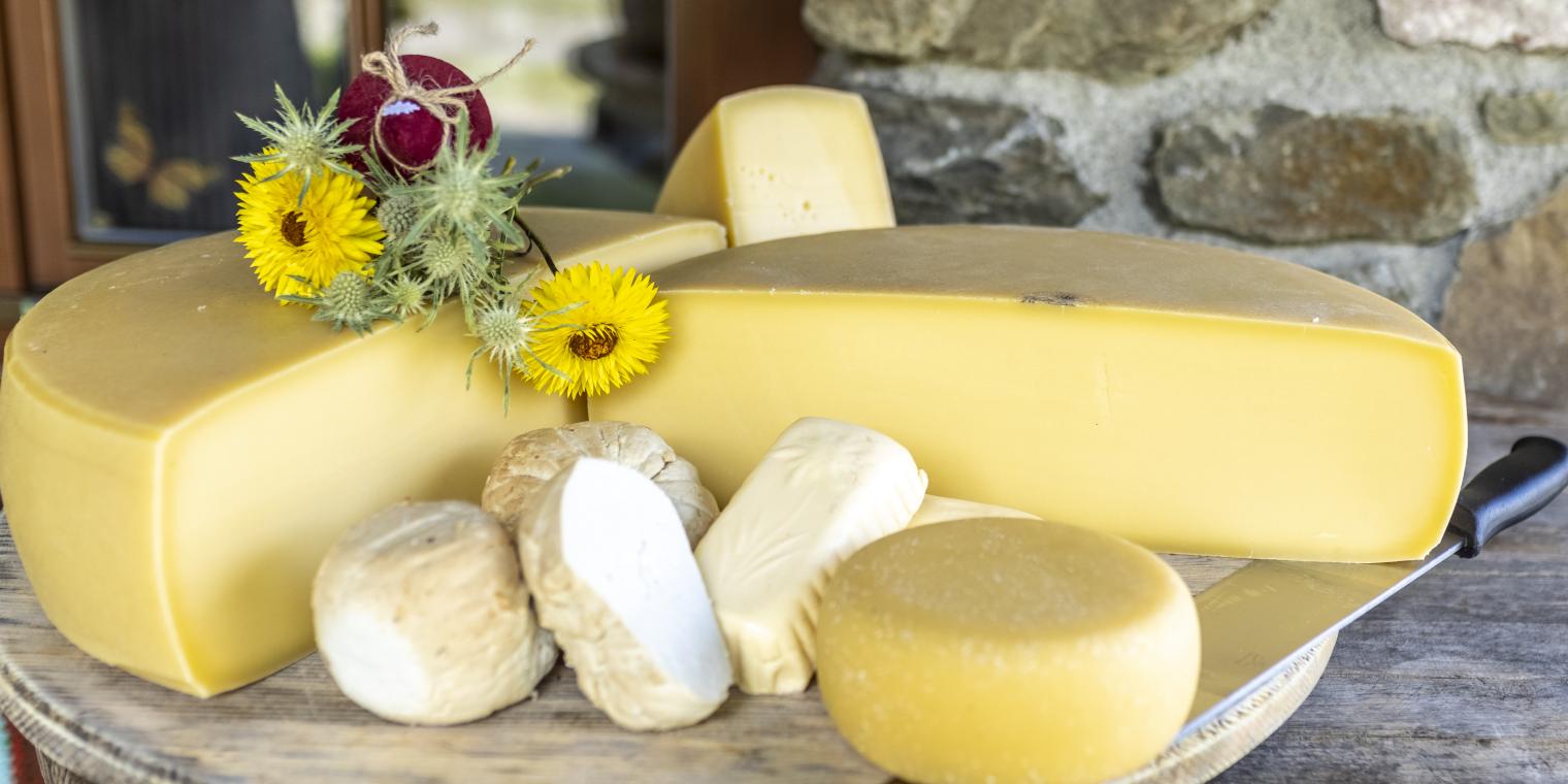 Original Gailtaler Almkäse gibt es auf der Watschiger Alm am Nassfeld in der Nähe des Almhotel Kärnten