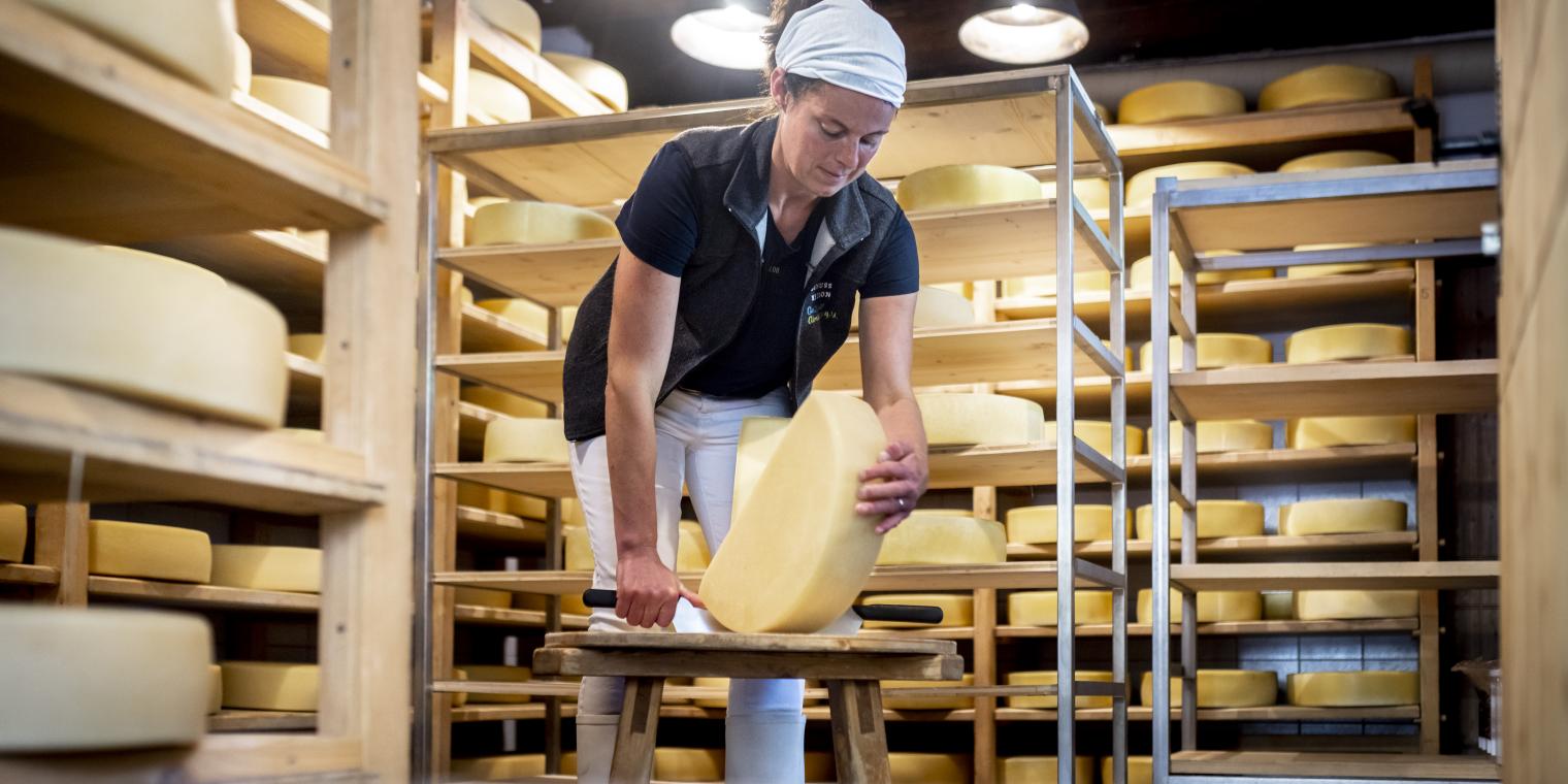 Traditionelle Käseherstellung auf der Watschiger Alm am Nassfeld in Kärnten in der Nähe des Almhotel Kärnten