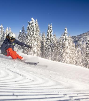 Eine Person genießt eine rasante Abfahrt auf einer perfekt präparierten Skipiste im verschneiten Kärnten. Im Hintergrund rahmen schneebedeckte Bäume und majestätische Berge die Szene, während strahlender Sonnenschein für klare Sicht und winterliche Stimmung sorgt. Dynamische Abfahrt auf frisch präparierter Piste am Nassfeld in Kärnten in der Nähe des Almhotel Kärnten