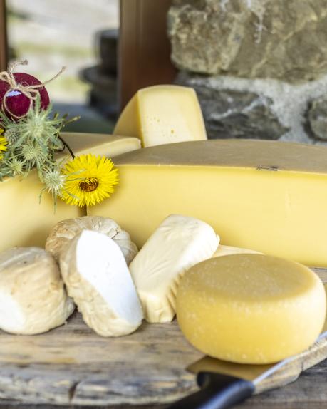 Original Gailtaler Almkäse gibt es auf der Watschiger Alm am Nassfeld in der Nähe des Almhotel Kärnten