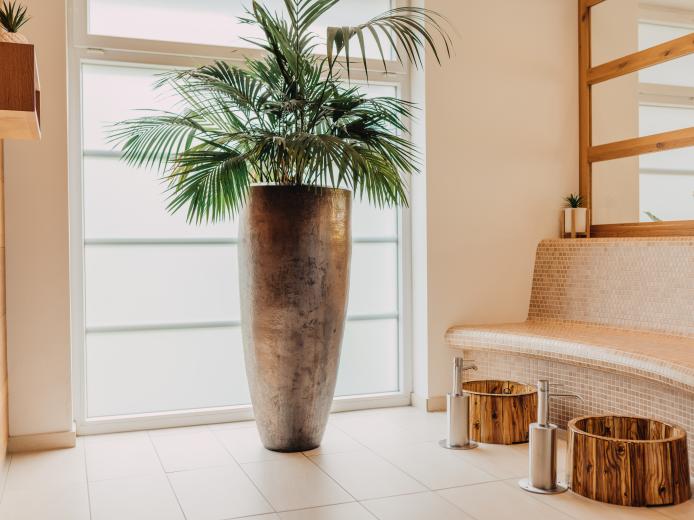 Moderner Ruheraum mit stilvoller, großer Palmenpflanze im Metalltopf vor lichtdurchfluteten Fensterflächen. Abgerundete Mosaik-Sitzbank, Holzdeko und warme Farbtöne schaffen eine entspannte, einladende Atmosphäre im Sauna-Bereich des Almhotels Kärnten. Heller Ruhebereich mit Palmenpflanze in der Saunawelt des Almhotel Kärnten am Nassfeld