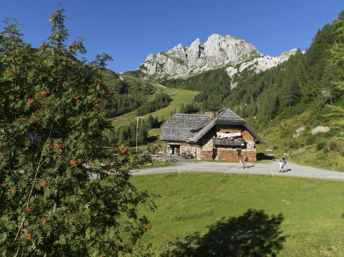 Gemütliche Almhütte eingebettet in die grüne Berglandschaft der Kärntner Alpen bei strahlend blauem Himmel. Im Vordergrund steht ein Baum mit roten Beeren, im Hintergrund erheben sich prägnante Felsen und dichte Wälder – ein perfekter Ausgangspunkt für Wanderungen und Naturgenuss. Die Watschiger Alm und der Gartnerkofel am Nassfeld in der Nähe des Almhotel Kärnten