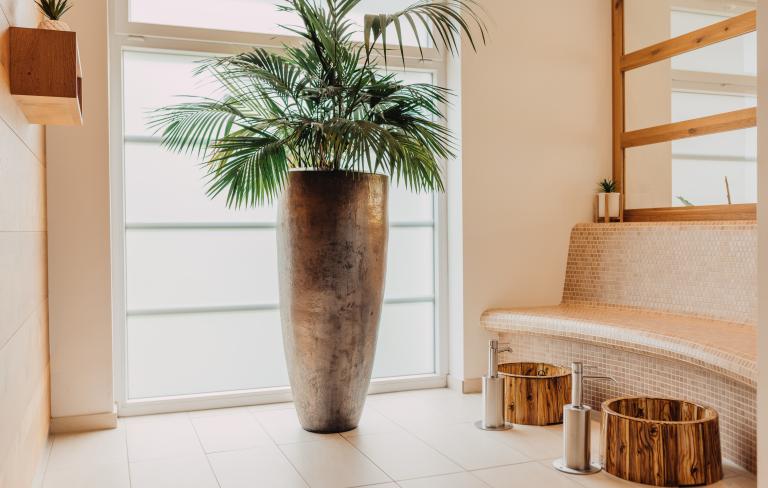 Heller Ruhebereich mit Palmenpflanze in der Saunawelt des Almhotel Kärnten am Nassfeld